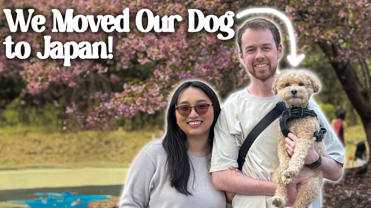 Moving Our Dog to Japan!