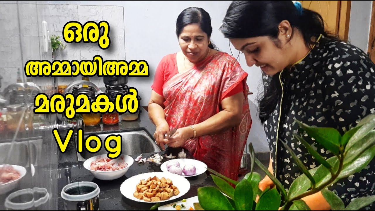 ഒരു അമ്മായിഅമ്മ മരുമകൾ വ്ലോഗ്/cooking lunch with amma/parippu chenna erissery/chicken kondattam