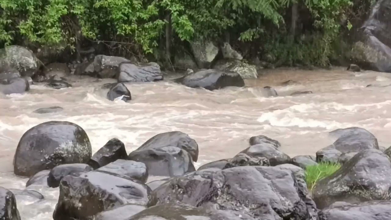 Untouched Mountain River In Rain | Pure Natural Sounscape