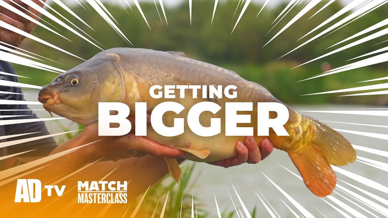 Match Masterclass - Margin Fishing For Big Carp At Decoy Lakes