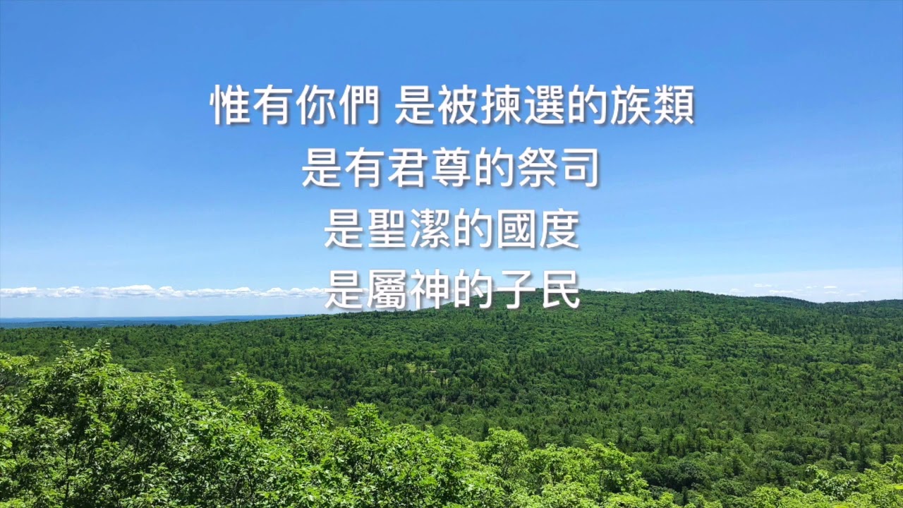 活石與選民l 葡萄樹音樂事工