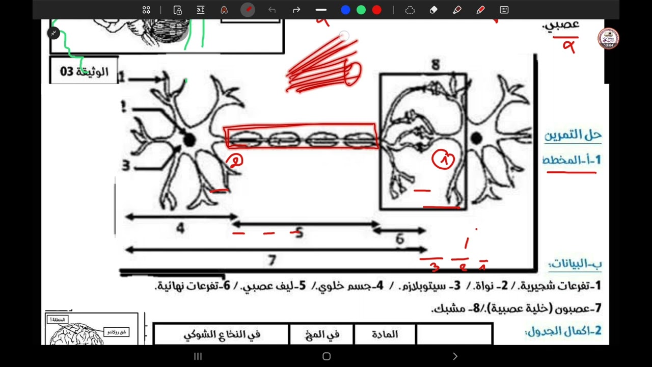 حل الفرض الثاني علوم طبيعية باجوبة دقيقة الرابعة متوسط  #bem2026 