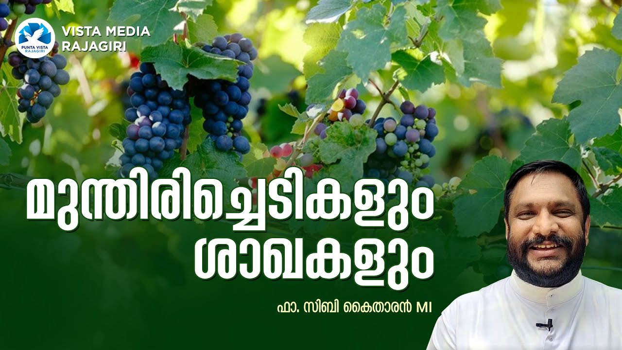 ഈശോ പറഞ്ഞ നാട്ടുകാര്യങ്ങൾ || BBLE REFLECTIONS || FR. SIBI KAITHARAN || VISTA MEDIA RAJAGIRI