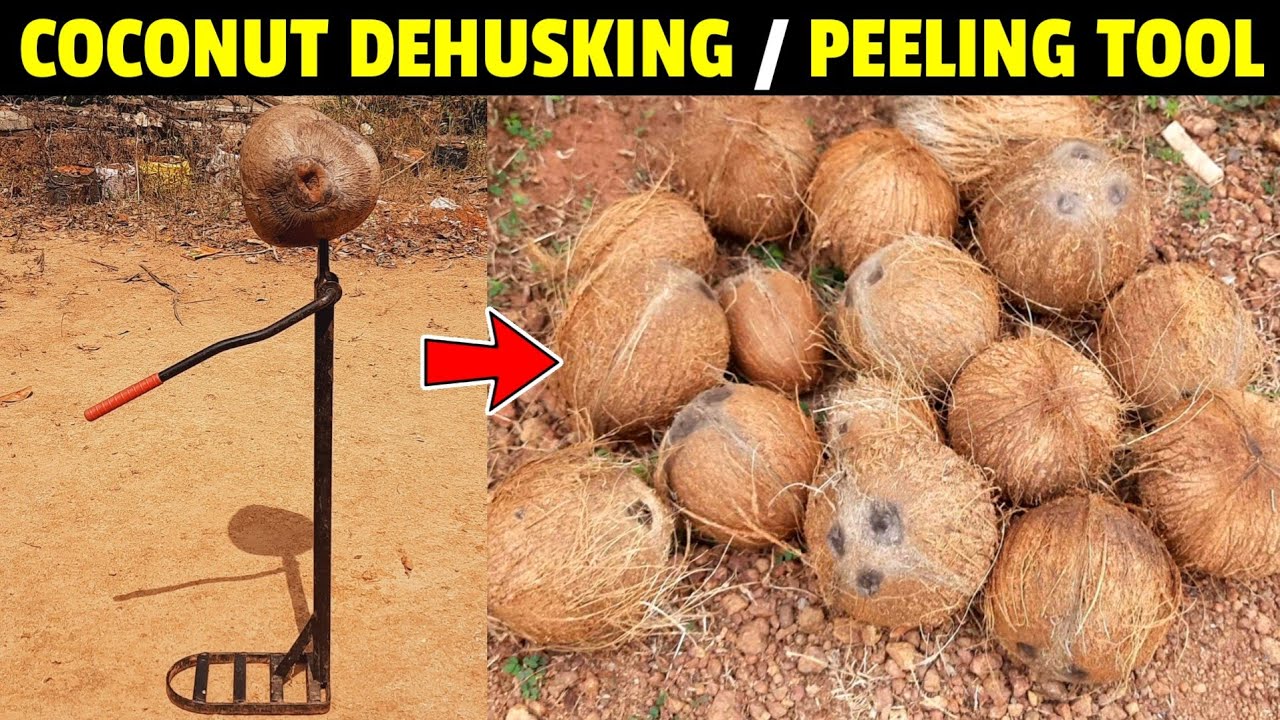 Coconut Dehusking Machine - Peel The Coconut Within Seconds
