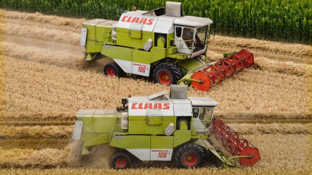 🇵🇱 Kradzione Żniwa Pszenicy ☆ Claas Dominator 106 ☆   🇵🇱