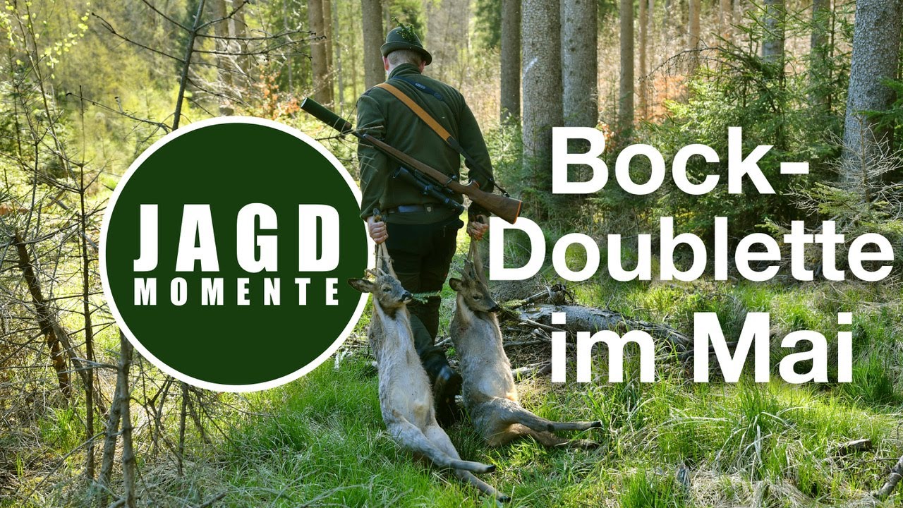 Bockdoublette im Mai | JagdMomente | 2021 | Jagdfilm No. 1