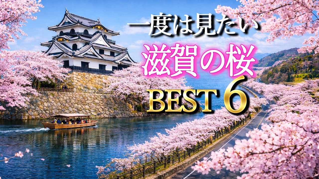 【4K 滋賀の桜絶景ベスト6】日本さくら名所100選｜彦根城・海津大崎・長浜城・三井寺・琵琶湖疏水・石山寺