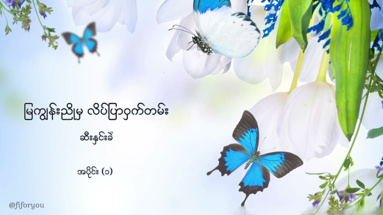 မြကျွန်းညိုမှ လိပ်ပြာဝှက်တမ်း | ဆီးနှင်းခဲ အပိုင်း (၁)