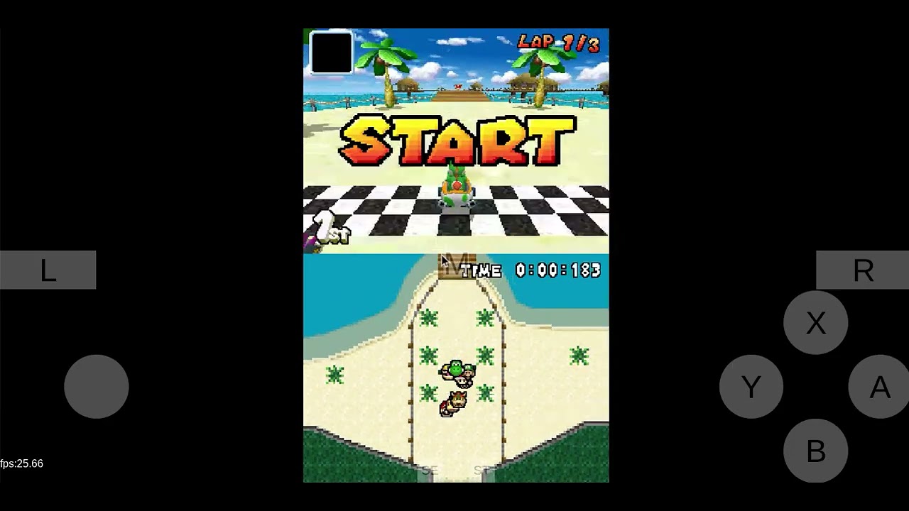 just a normal MKDS race