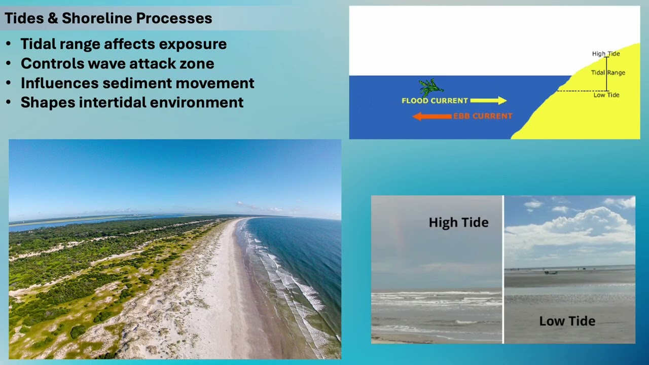 Allman-Goshen-College-Oceanography-L-17: Shoreline Processes
