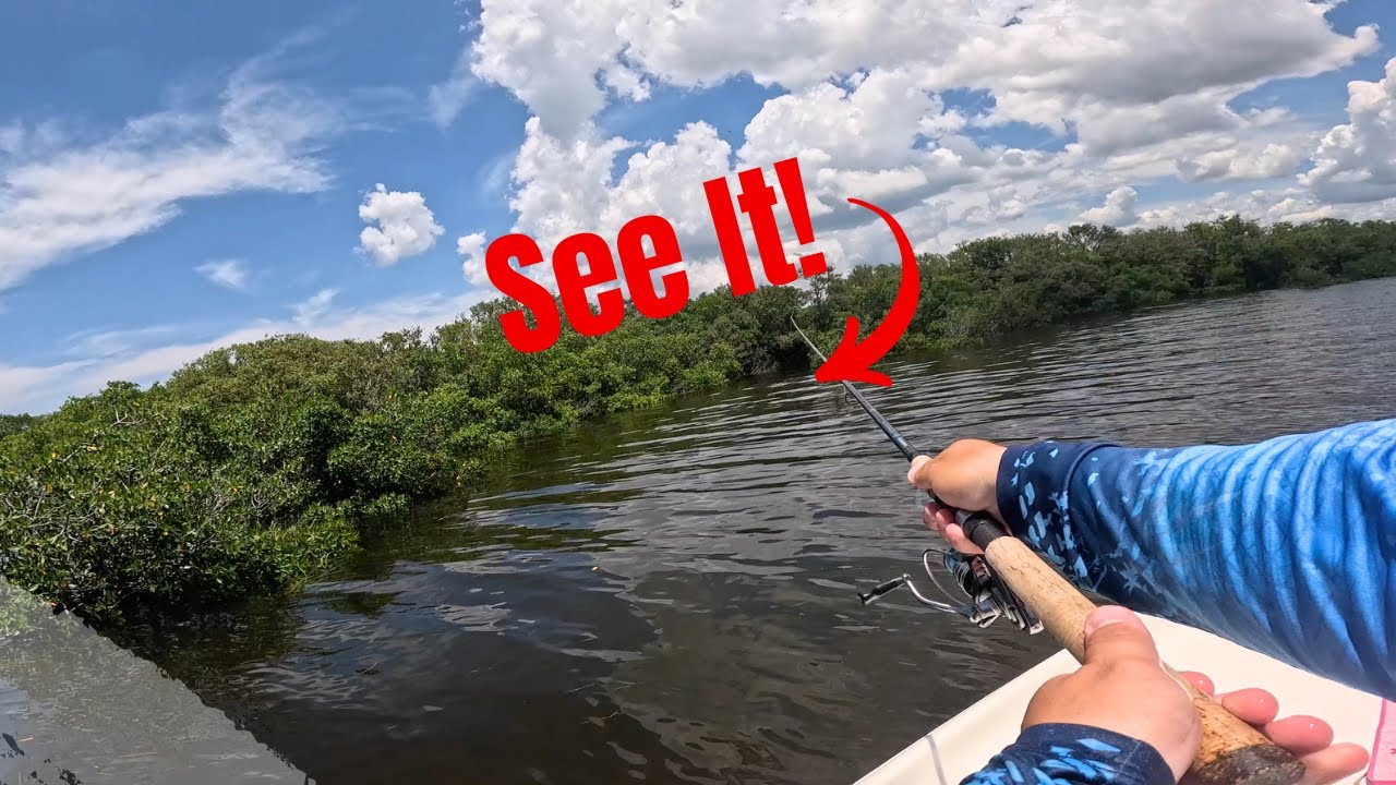 🥷 Ninja Snook Strike! 🎣 Small Snook, Big Attitude! 🐟 Shallow Water Action 🔥