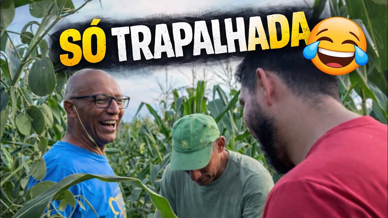 PEGANDO MILHO NO SÍTIO ! OLHA O QUE ACONTECEU !?   #humor #fazenda 