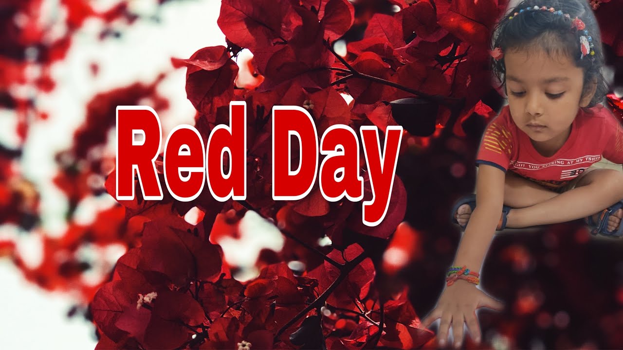 RED DAY SONG | RED DAY CELEBRATION | DRS KIDS SCHOOL | JAMMU