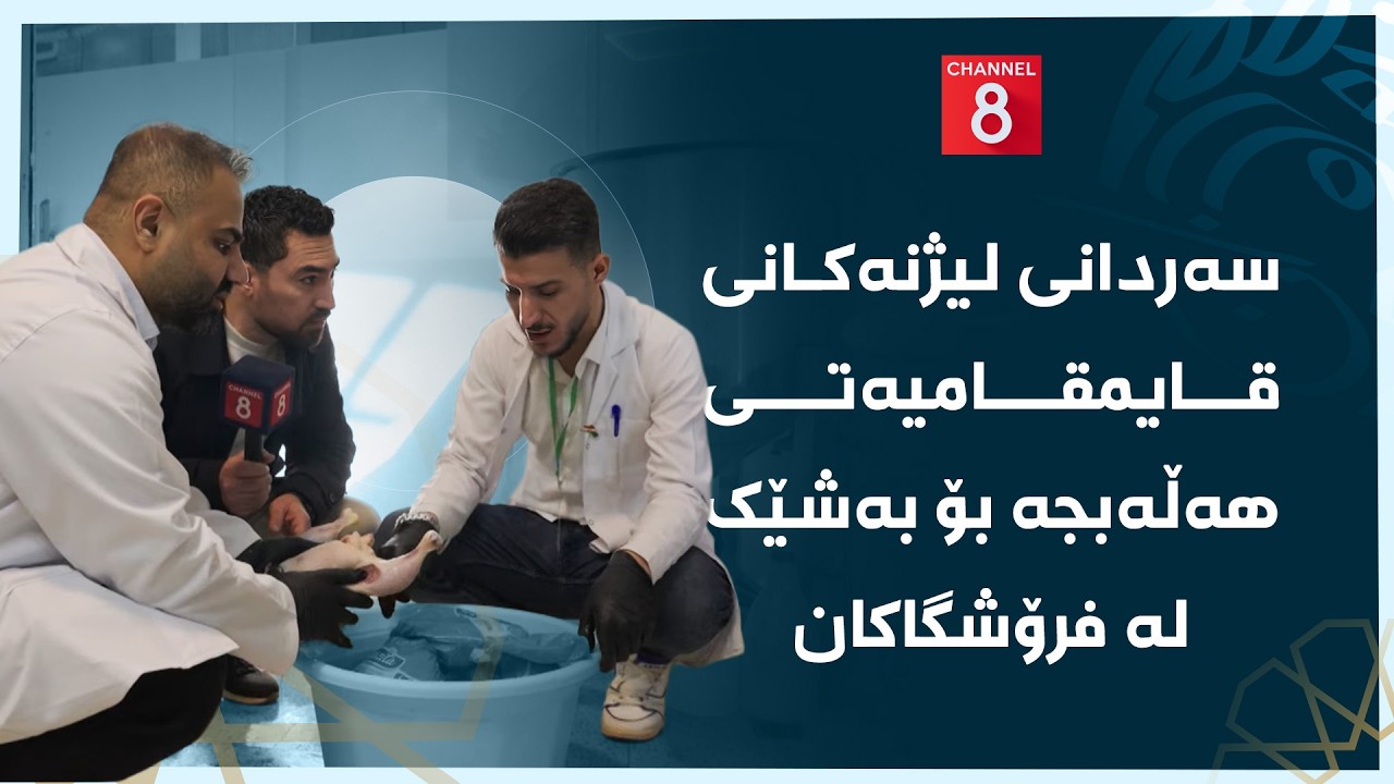 چاوی8 - سەردانی لیژنەکانی قایمقامیەتی هەڵەبجە بۆ بەشێک لە فرۆشگاکان