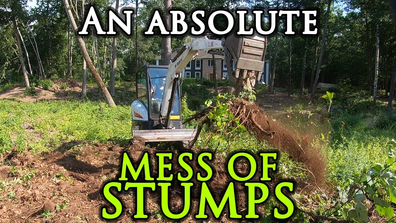 Stumping a Yard with a Bobcat E26