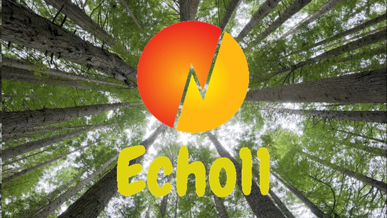 Echo11- Canopy