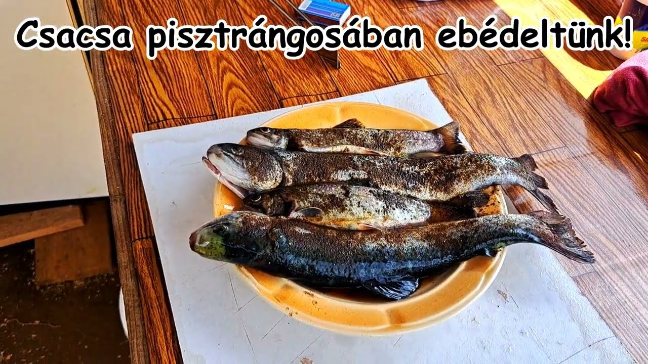 Friss forr&aacute;svizen nevelt pisztr&aacute;ngot eb&eacute;delt&uuml;nk a Gyimesekben, az Apa-havason, az ezer &eacute;ves hat&aacute;rn&aacute;l