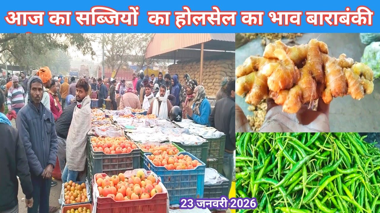 23 जनवरी 2026 का सब्जियों का भाव 💯 sabji mandi bhav 😘 #shafeeqbarabanki #mandibhav 
