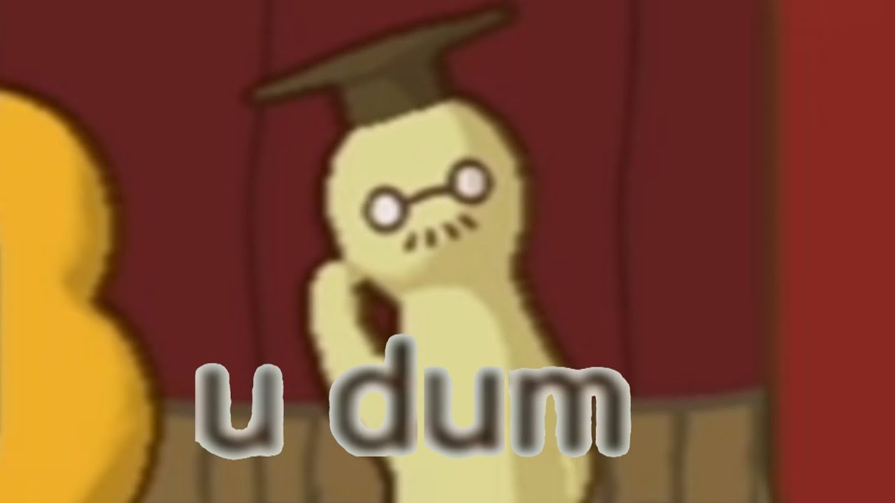 wii dumb