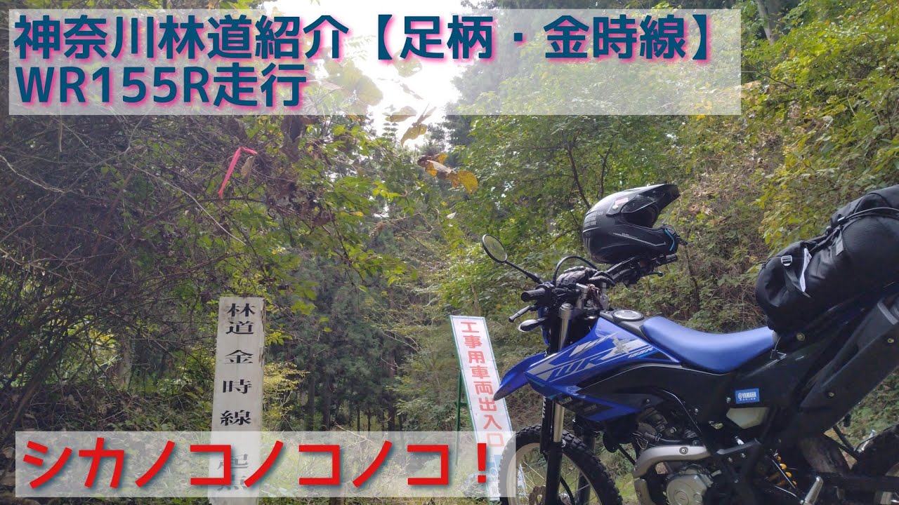 神奈川林道紹介【足柄・林道金時線】WR155R走行