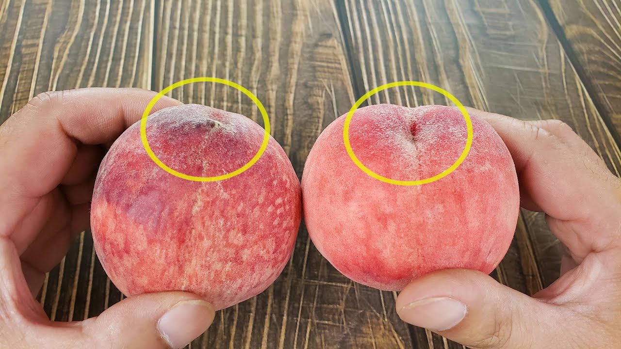 桃子甜不甜，看一眼这里就明白，一买一个准，老果农的方法真实用