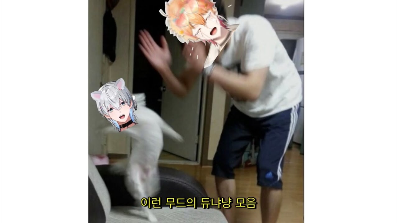 니노가 이로 낳았나요? [스코시즘 듀냐냥]