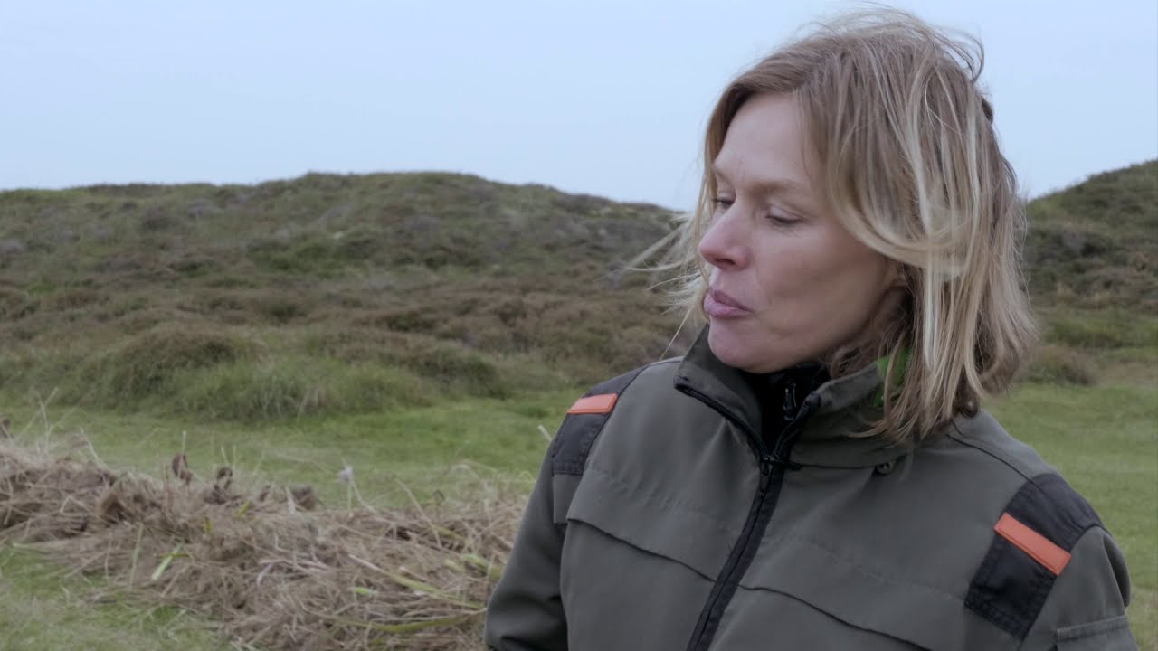 De stekelbaars – een klein visje op een grote reis