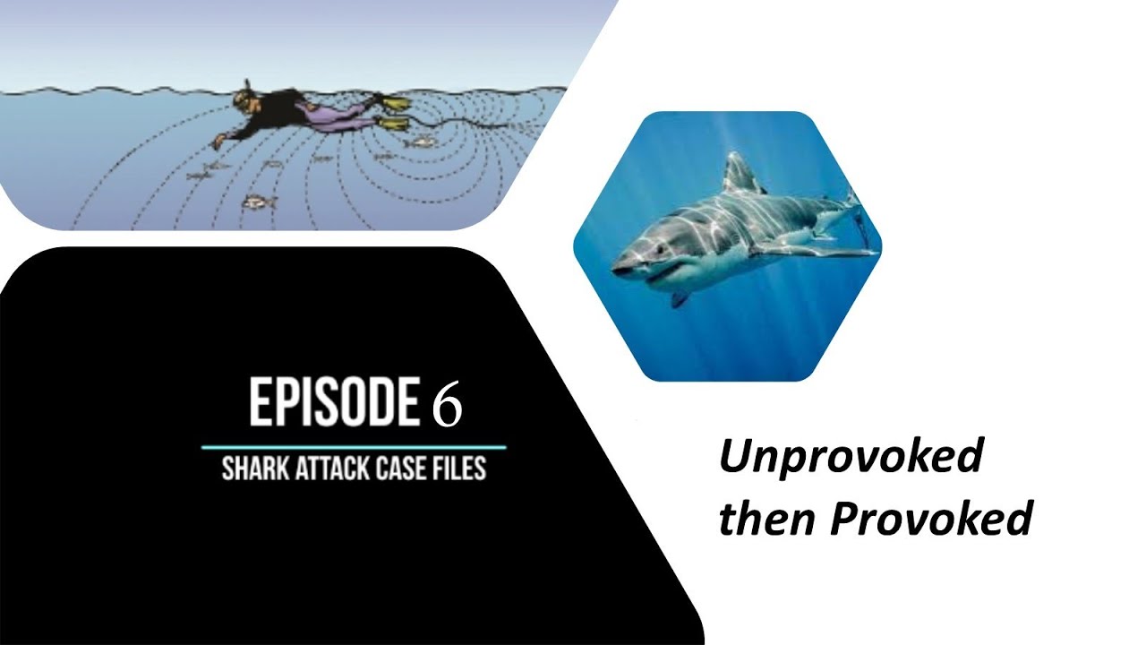 Episode 6 -  Shark Attack Case Files - Unprovoked then Provoked