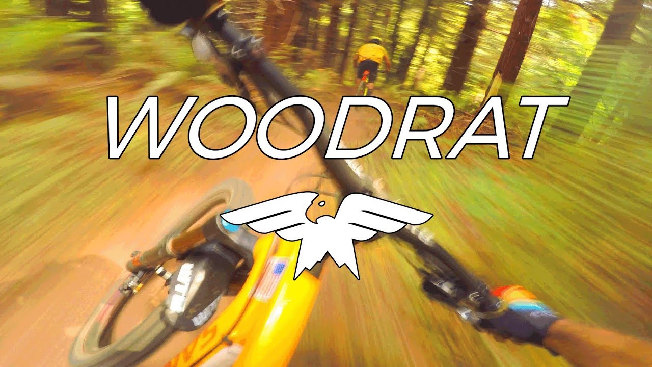 The Best Trails in California - Humboldt County, California