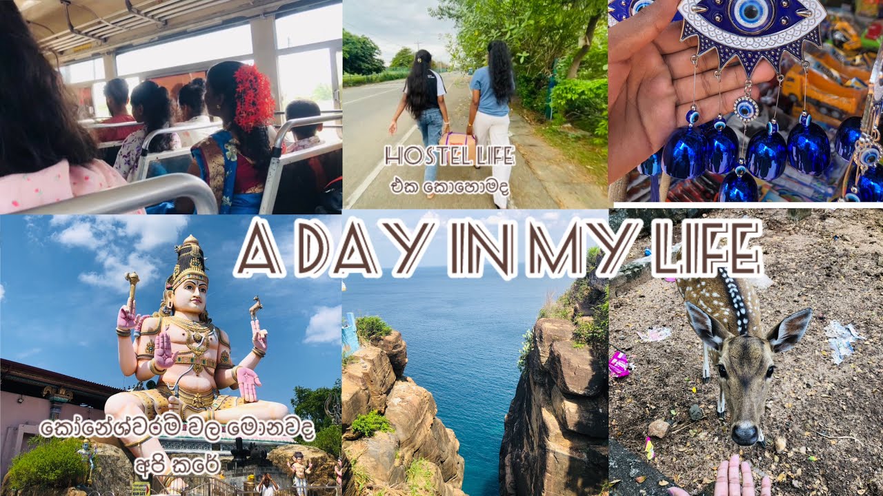 හොස්ටල් එකේ නිවාඩු දවසක් ♥️#hostallife #vairalvideo #trincomalee 