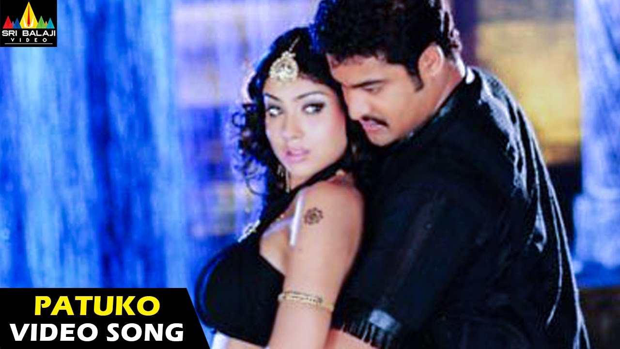 Naa Alludu Songs | Patuko Patuko Video Song | Jr.NTR, Shriya, Genelia