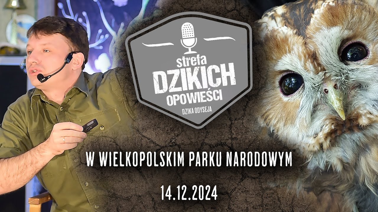 Dzika Odyseja w Wielkopolskim Parku Narodowym