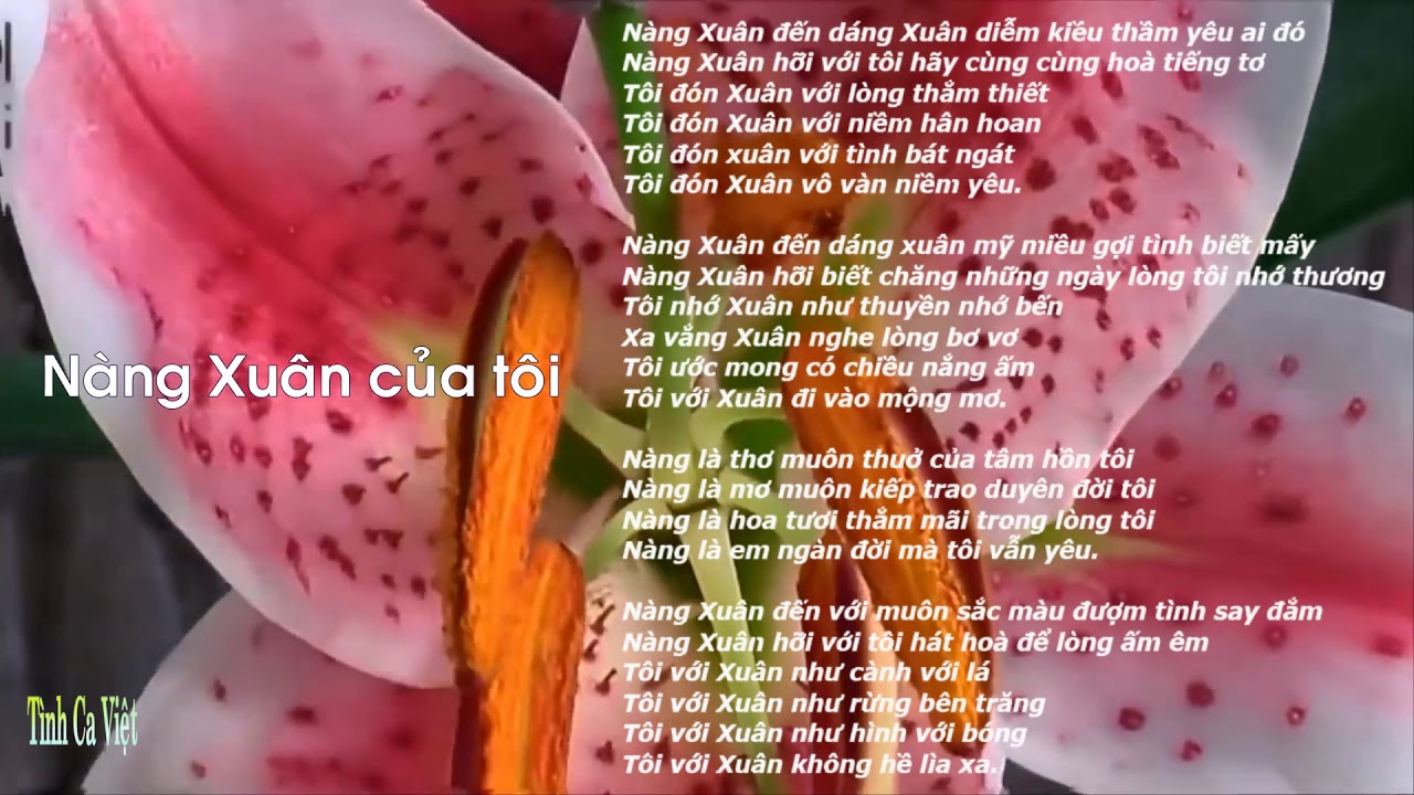 Nàng Xuân Của Tôi , Sáng tác Nguyễn Hữu Thiết , Ca sĩ Hồng Hạnh