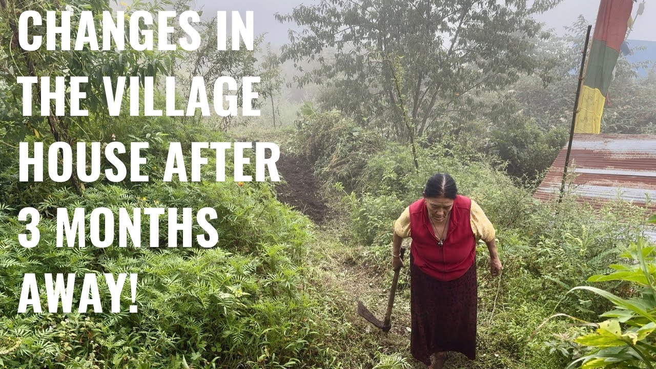 This is how village house looked after being away for 3 months| तीन महिनापछि गांउ फर्किंदा।🇳🇵
