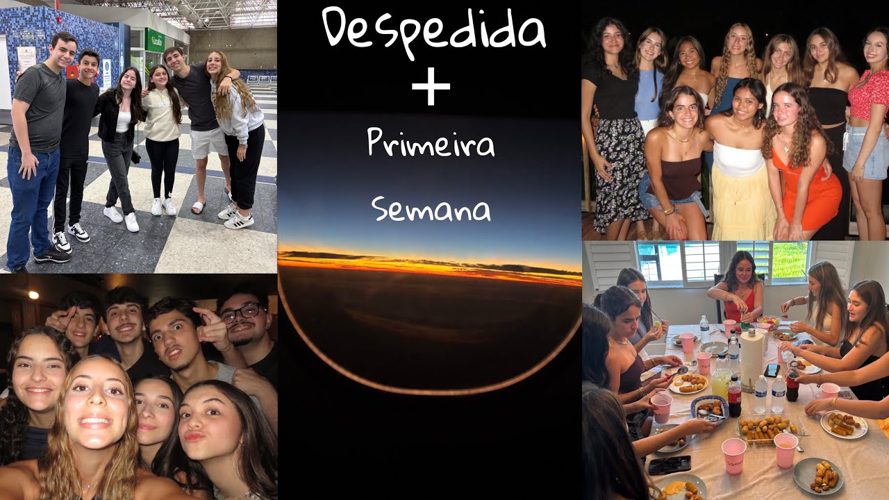 Despedida + Primeira semana no Brasil!! *karaoke, aeroporto, amigos e família*✈️