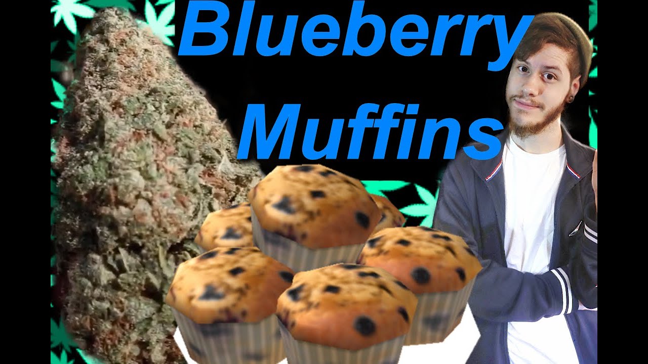My Favorite Strain - Blueberry Muffins - Weedviews 2