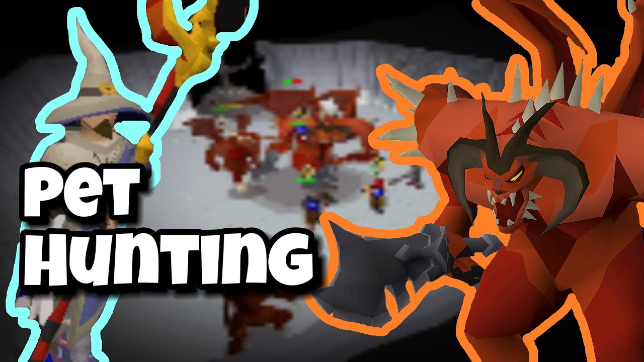 The BEST Way to SOLO Farm Zammy | 5:0 Guide