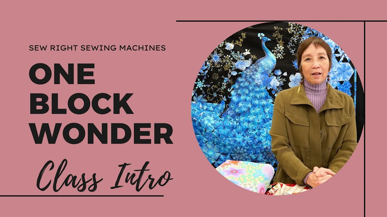 Class Intro: One Block Wonder Panel Quilt  with Laurie