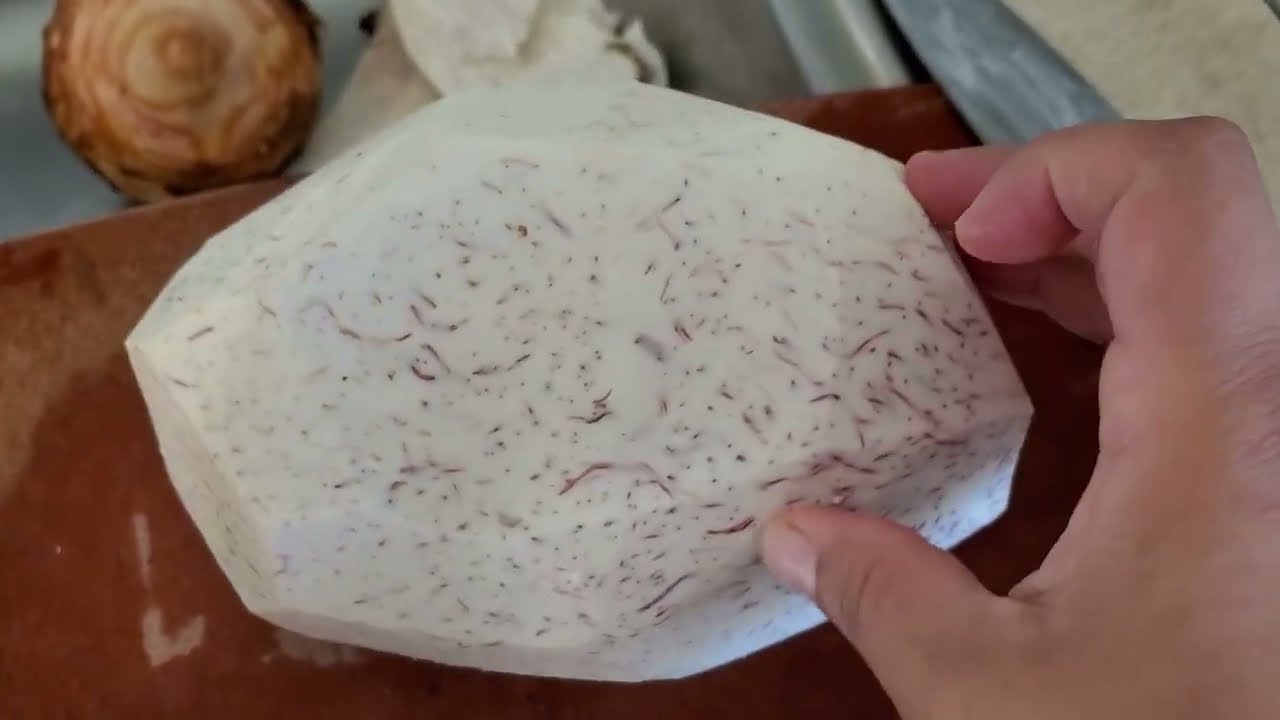 COCINANDO MALANGA.