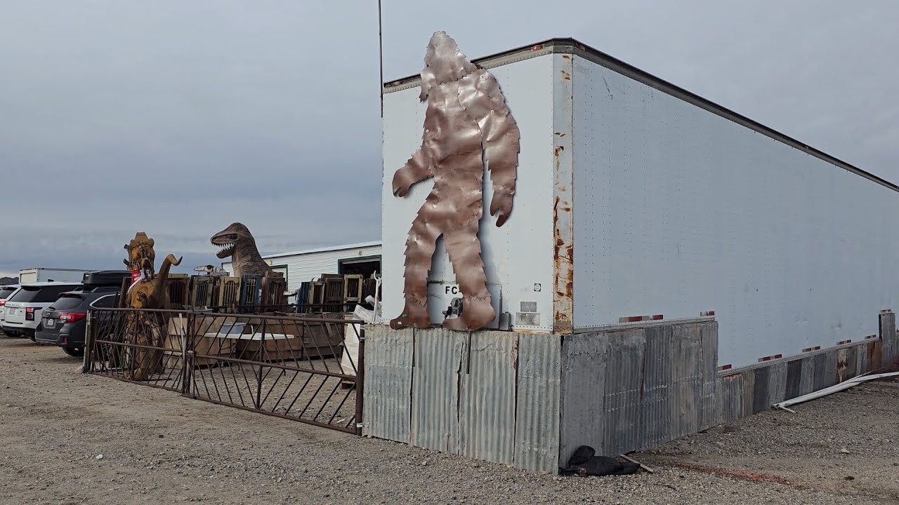 Quartzsite gem show day 3 recap #gemshow #crystalshop #crystals 