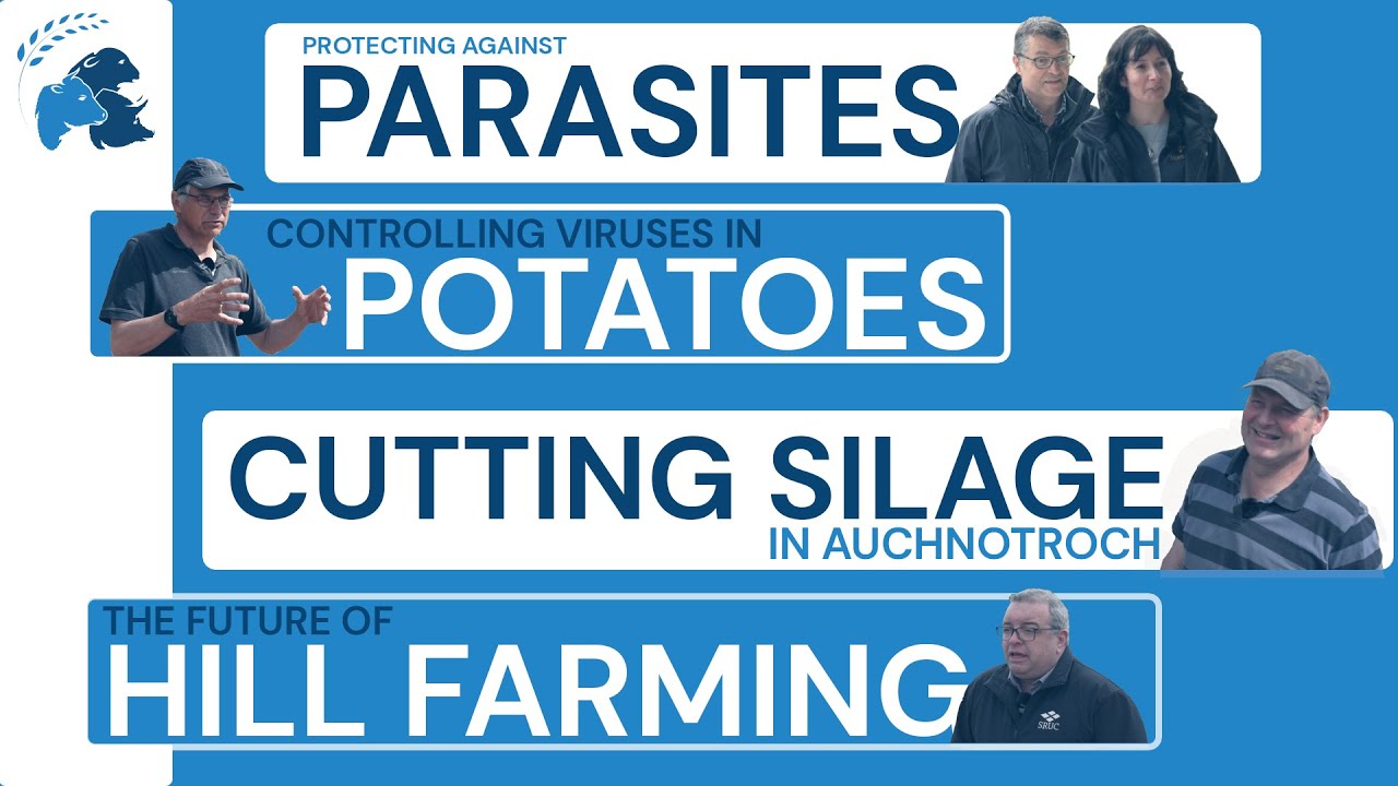 FAS TV: Ep 12 - Hill Farming, Cutting Silage, Protect against parasites, &controlling potato viruses