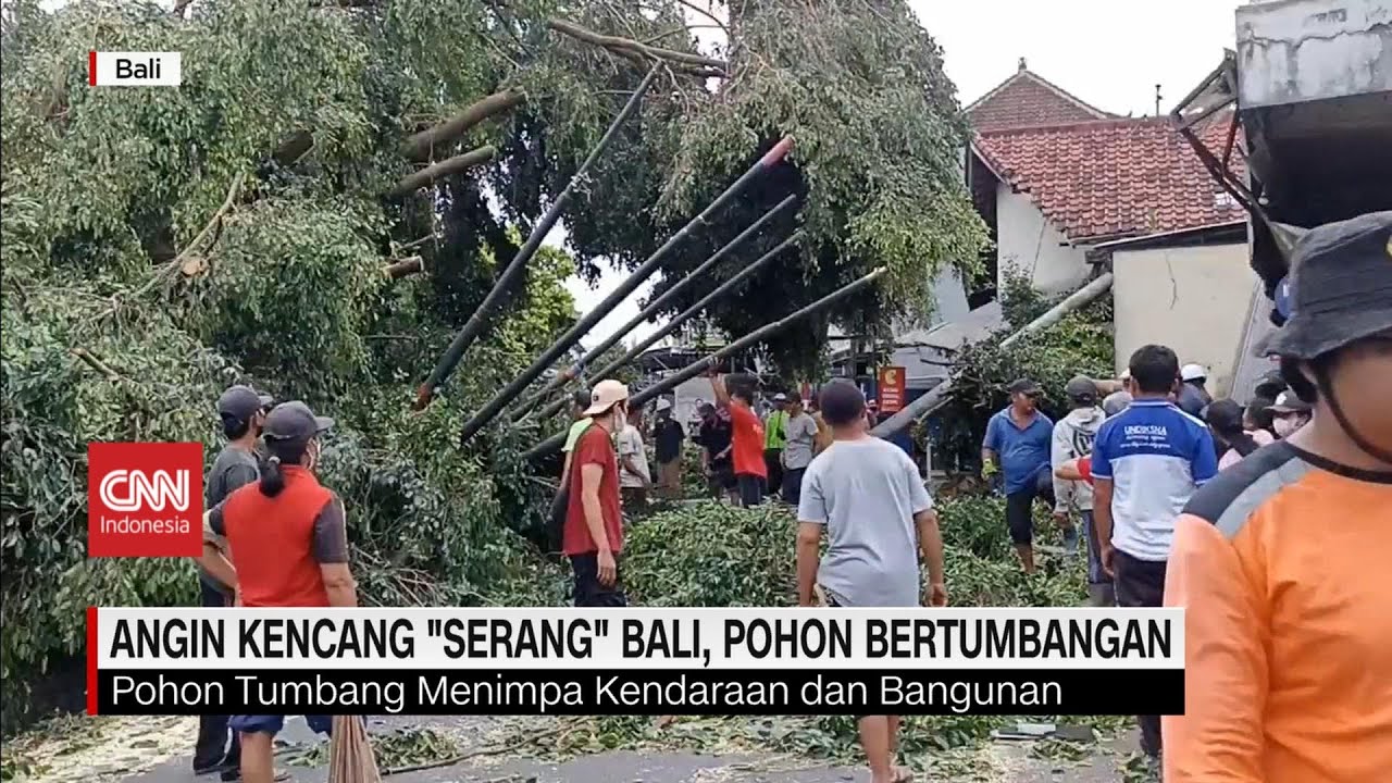 Angin Kencang Serang Bali, Pohon Bertumbangan
