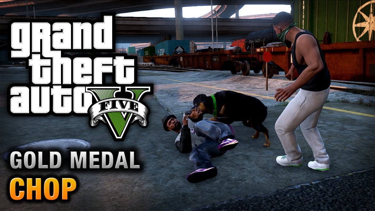 GTA 5 - Mission #5 - Chop [100% Gold Medal Walkthrough]
