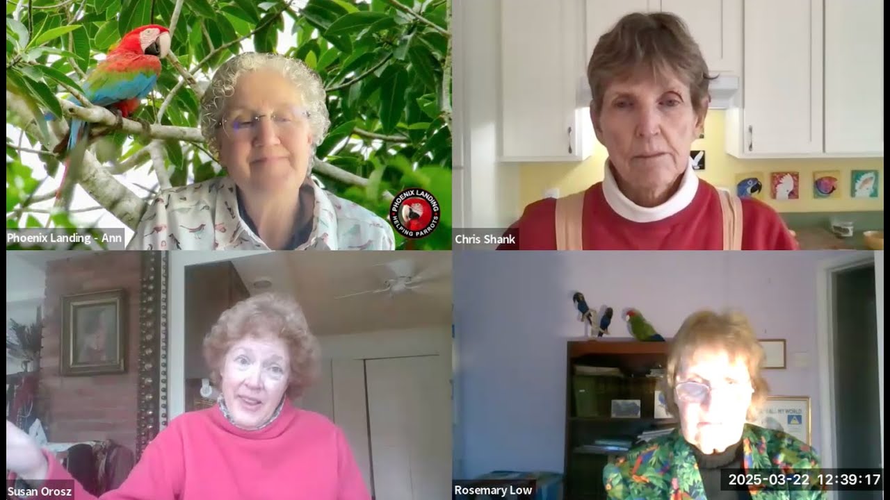 Wisdom for the Ages, conversation about parrots with Rosemary Low, Chris Shank, and Dr. Susan Orosz