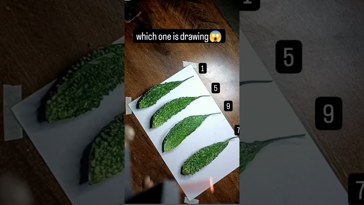 How to Draw BITTER GOURD 🧐 3D drawing #shortvideo #art #easy #viral #like #subscribe