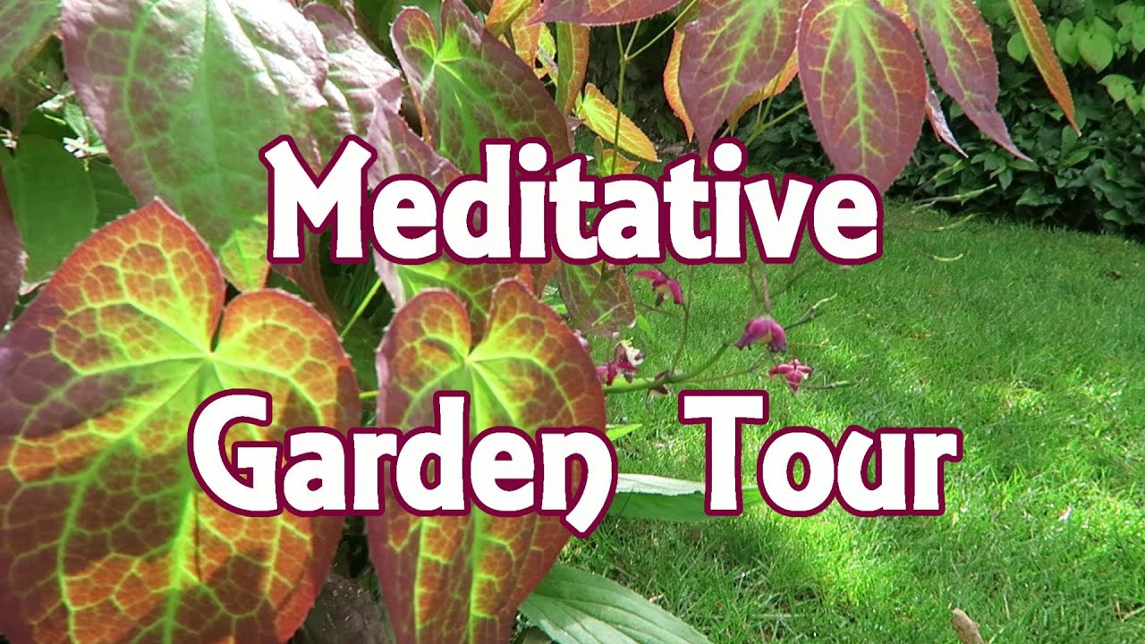 Meditative Cotswold Garden Tour in May