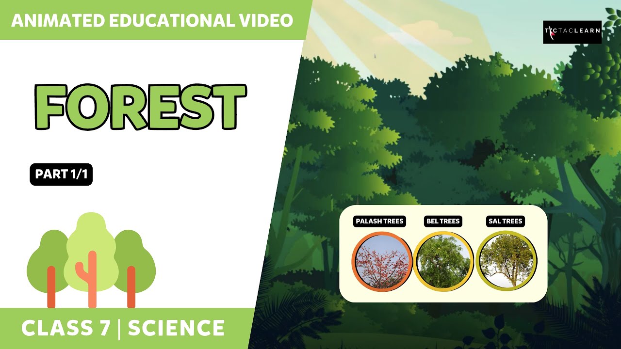 Forest - Our Lifeline | Part 1/1 | Class 7 Science Chapter 17 |  TicTacLearn English