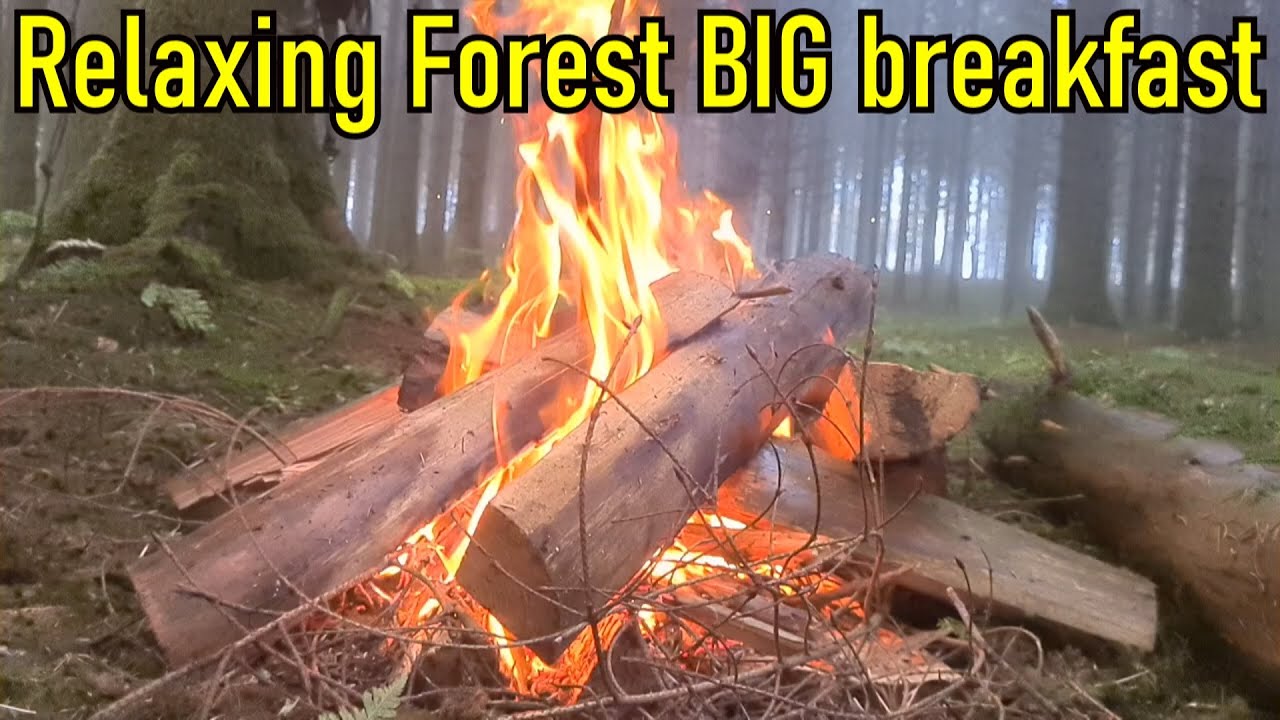 Relaxing Forest - All day breakfast - Natural cooking - Chill out