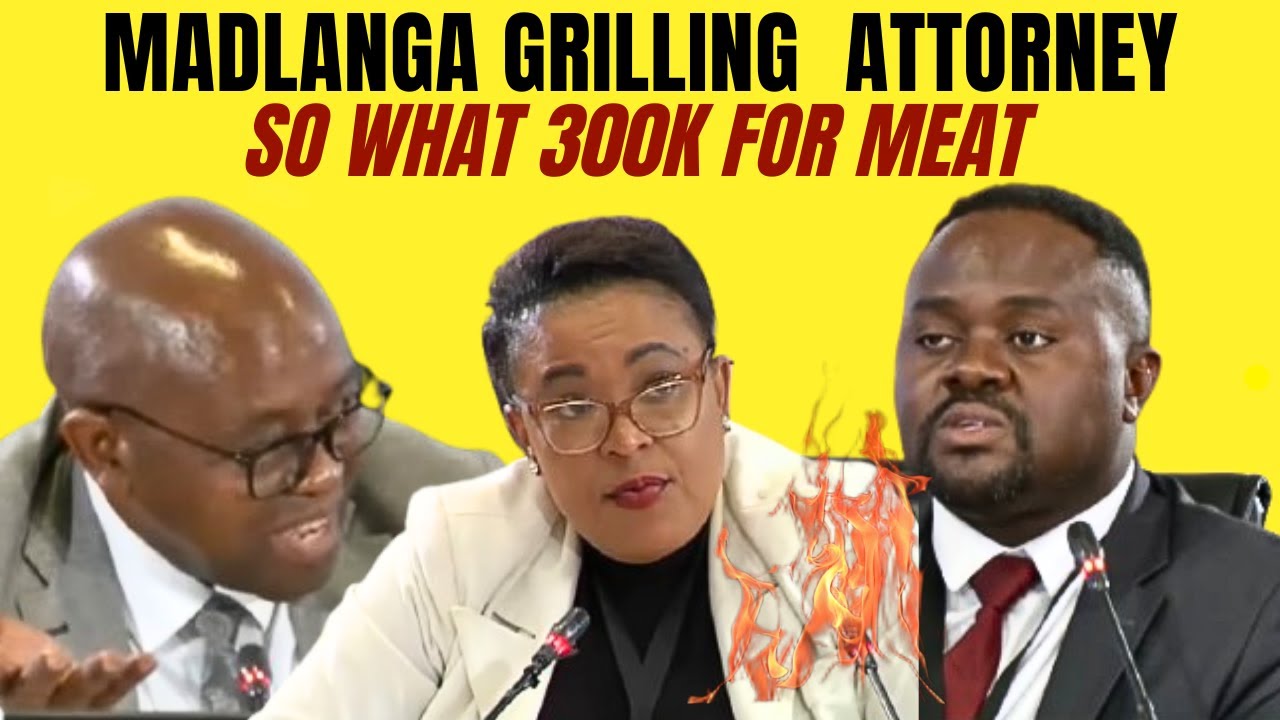 MADLANGA GRILLING AND EMBARRASING ATTORNEY RACHEL MATJENG