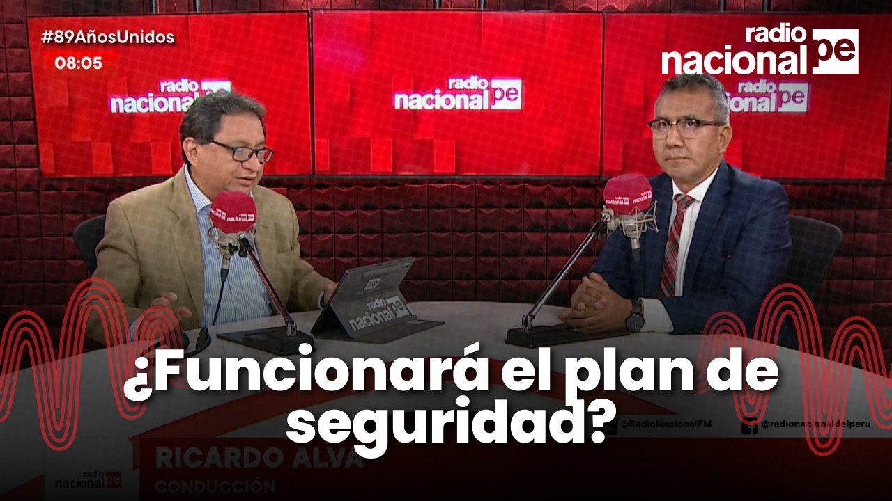 ¿Qué se espera del Plan Nacional de Seguridad Ciudadana? : la opinión de un especialista